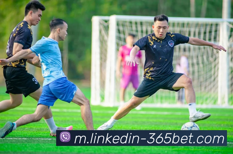 365bet平台生态图